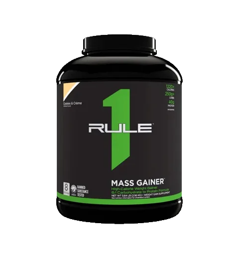 Rule 1 Mass Gainer