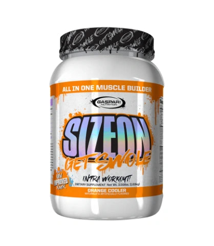Gaspari Sizeon Intre Workout 2lb  Orange Cooler Flavour -  Fitvibes Nutrition